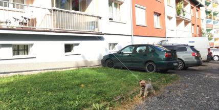 Foto dne: Venčení z balkónu