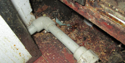 Hygiena si posvítila na Jihočeskou restauraci