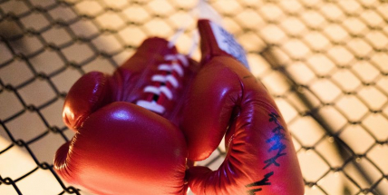 Boxerský ring je proti zasedání zastupitelů nudnou záležitostí