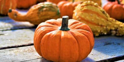 Sobotní Farmářské trhy nabídnou podzimní ovoce, zeleninu i dušičkové vazby