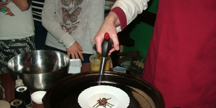 „Hmyz na talíři“ bude už po několikáté v příbramském D-klubu