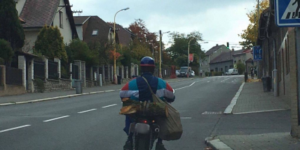 Foto dne: Až se zima zeptá
