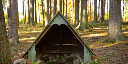 Prameny a studánky v Brdech jsou vítaným osvěžením