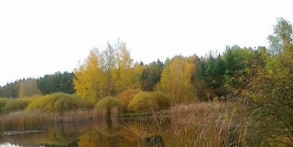 Pestrobarevný podzim ukáže svou druhou tvář