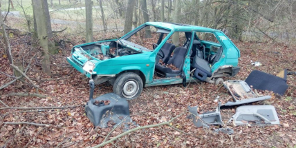 Foto dne: Lesy ČR podporují značení turistických tras "zelenou"