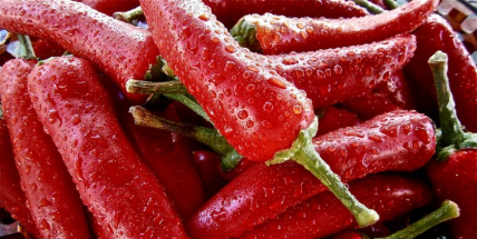 Ovoce a zelenina na příbramských Farmářských trzích má doložitelný původ
