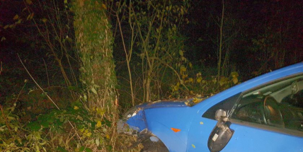 Právě teď: Řidiče oslnil protijedoucí vůz, skončil v lese