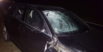 Tragické nehodě u Obor mohl zabránit reflexní prvek