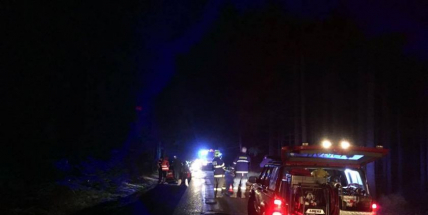 Divoké prase vběhlo do silnice. Náraz dvou vozidel nepřežilo