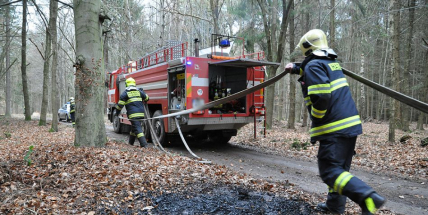 Hasiči zlikvidovali několik ohnisek požáru v lese u obce Vacíkov