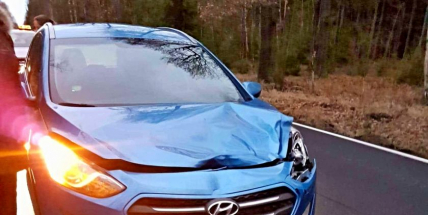 Daněk zkřížil cestu Hyundai