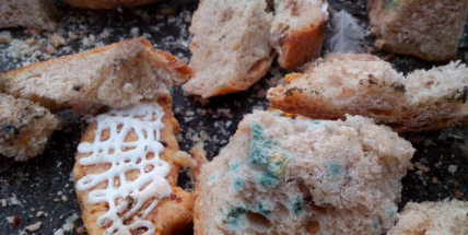 Chcete zvířatům přilepšit nebo je zabít?