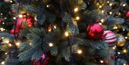 Vandal řádil na obecním stromku