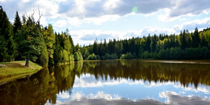 Víte, že za dva roky byla v CHKO Brdy udělána opatření pro přírodu za téměř 7,5 mil. Kč?