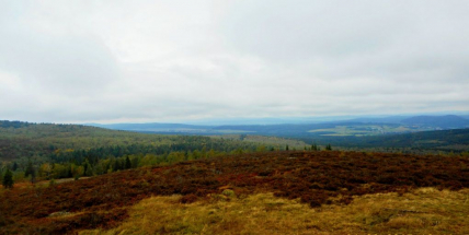 Dva roky od založení CHKO Brdy - 2. ČÁST