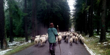 Nejvýznamnější lokality CHKO Brdy - 3. ČÁST