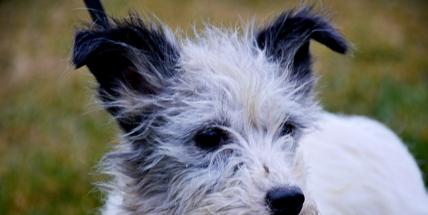 Tři ztracenci, které zachránili hasiči, se mají k světu