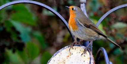 Je čas myslet na oběd nejen pro sebe
