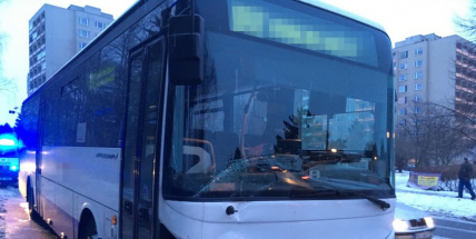 Autobus dostal smyk a zastavil se až o břízu na zastávce