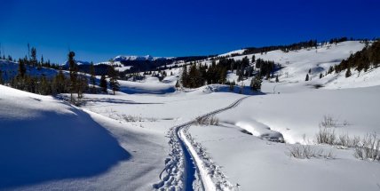 Máte běžky? Tak si je s klidným svědomím můžete o víkendu nachystat!