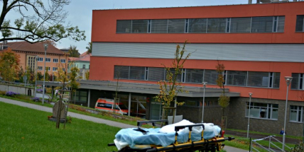 Chystáte se na medicínu?