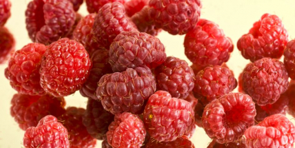 Zloděj se zajímal o ovocné keře