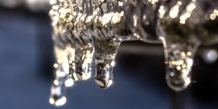 Vzdává se zima své vlády předčasně?