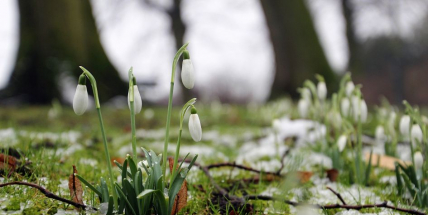 Na Západě padaly rekordy a  jak to bylo na Příbramsku?