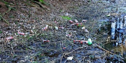 Měli u Litavky dýchánek bezdomovci?