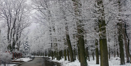 Podle předpovědi počasí se naše silnice nezlepší