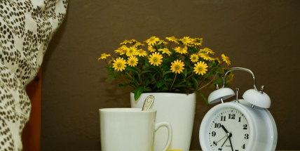 Chřipka ustupuje krok za krokem, Příbramsko již tabulku nemocnosti nevede