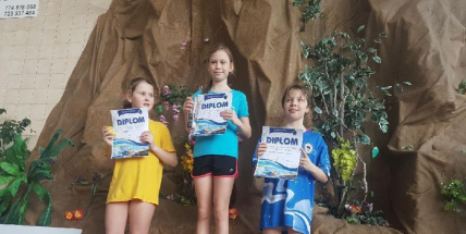 Cena města Příbrami – Středočeský pohár nejmladšího žactva. Děti z Příbrami vybojovaly několik medailí