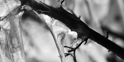 Varování před tajícím sněhem